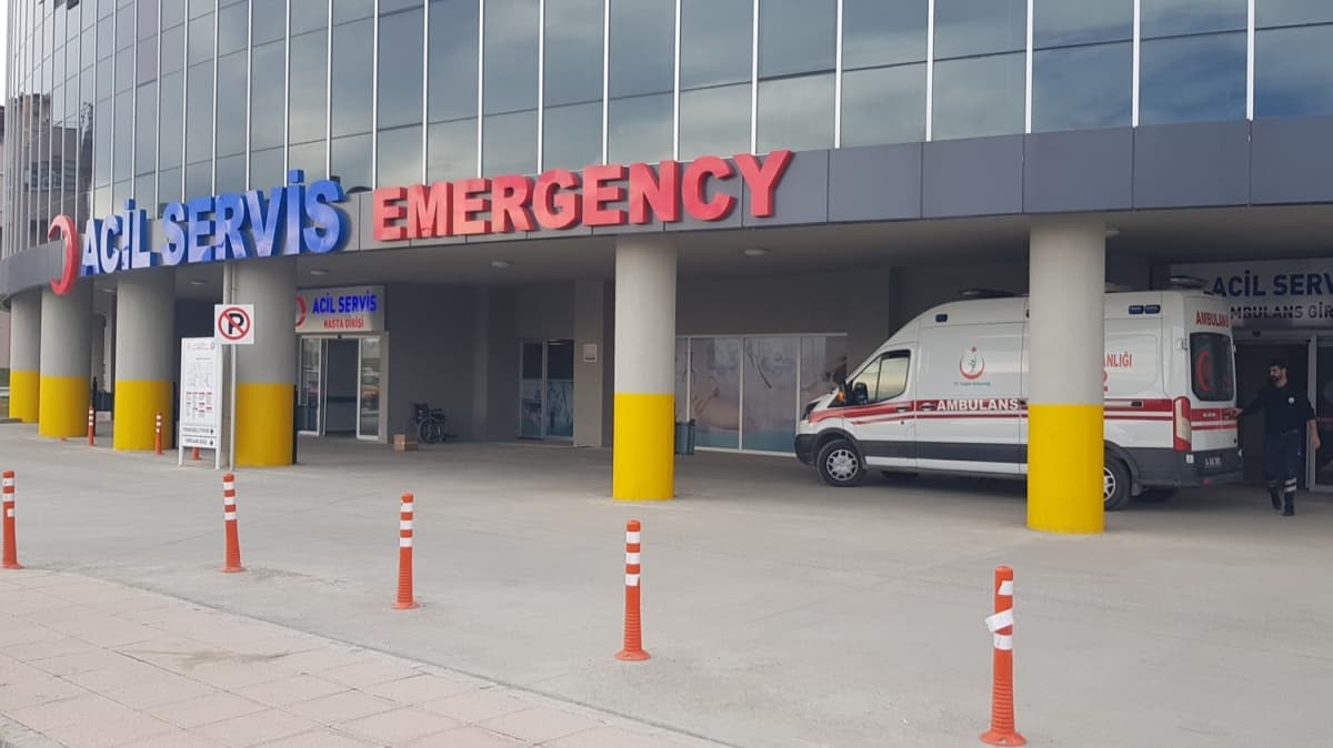 Erzincan'da yksek ate ikayetiyle hastaneye kaldrlan ranl tr ofr taburcu edildi