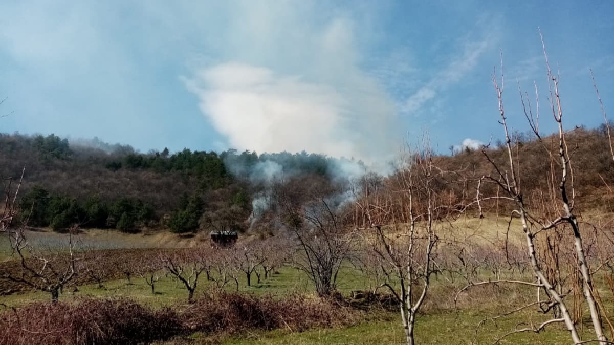 Ormanlk alanda korkutan yangn