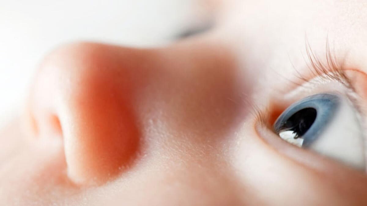 Gzya kanal tkanklna dikkat! 