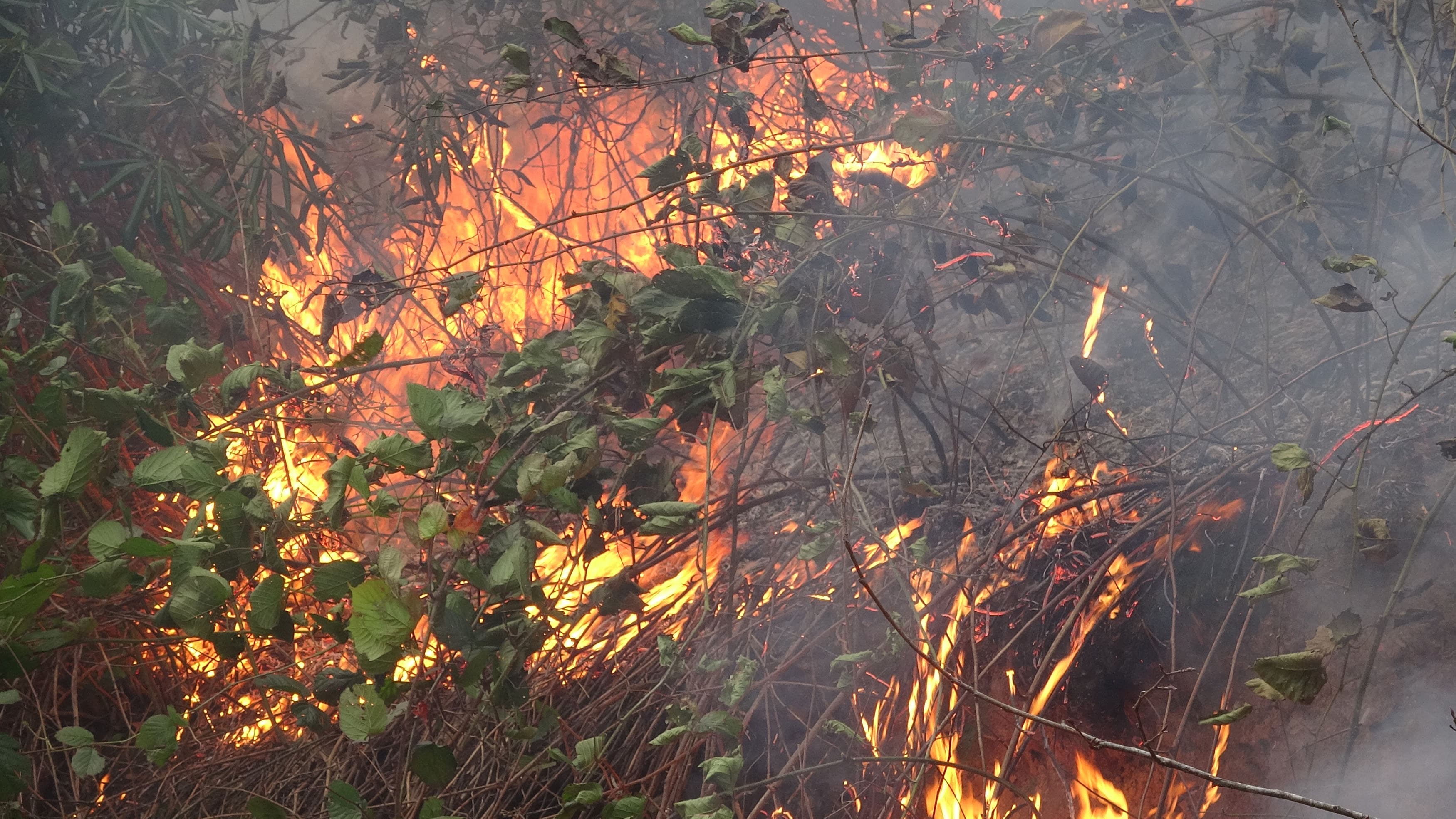 F�nd�k bah�esinde yakt��� ate�in �zerine d��en ki�i �ld�