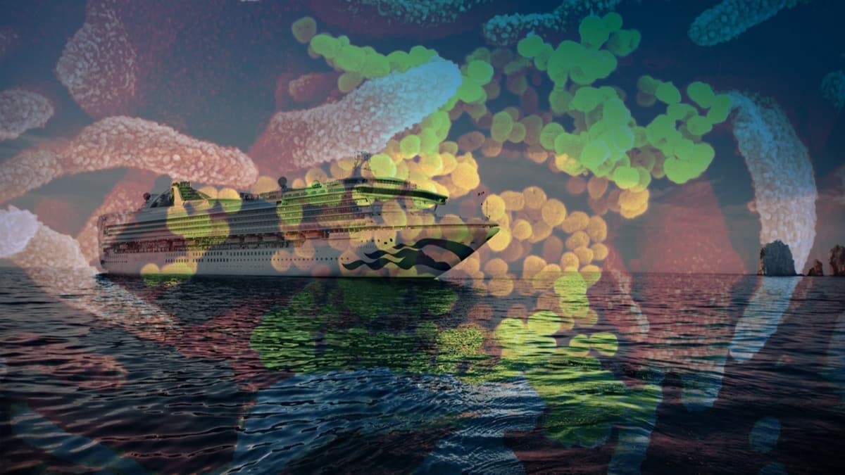 ABD'de Grand Princess gemisinde 21 kiide koronavirs vakas tespit edildi