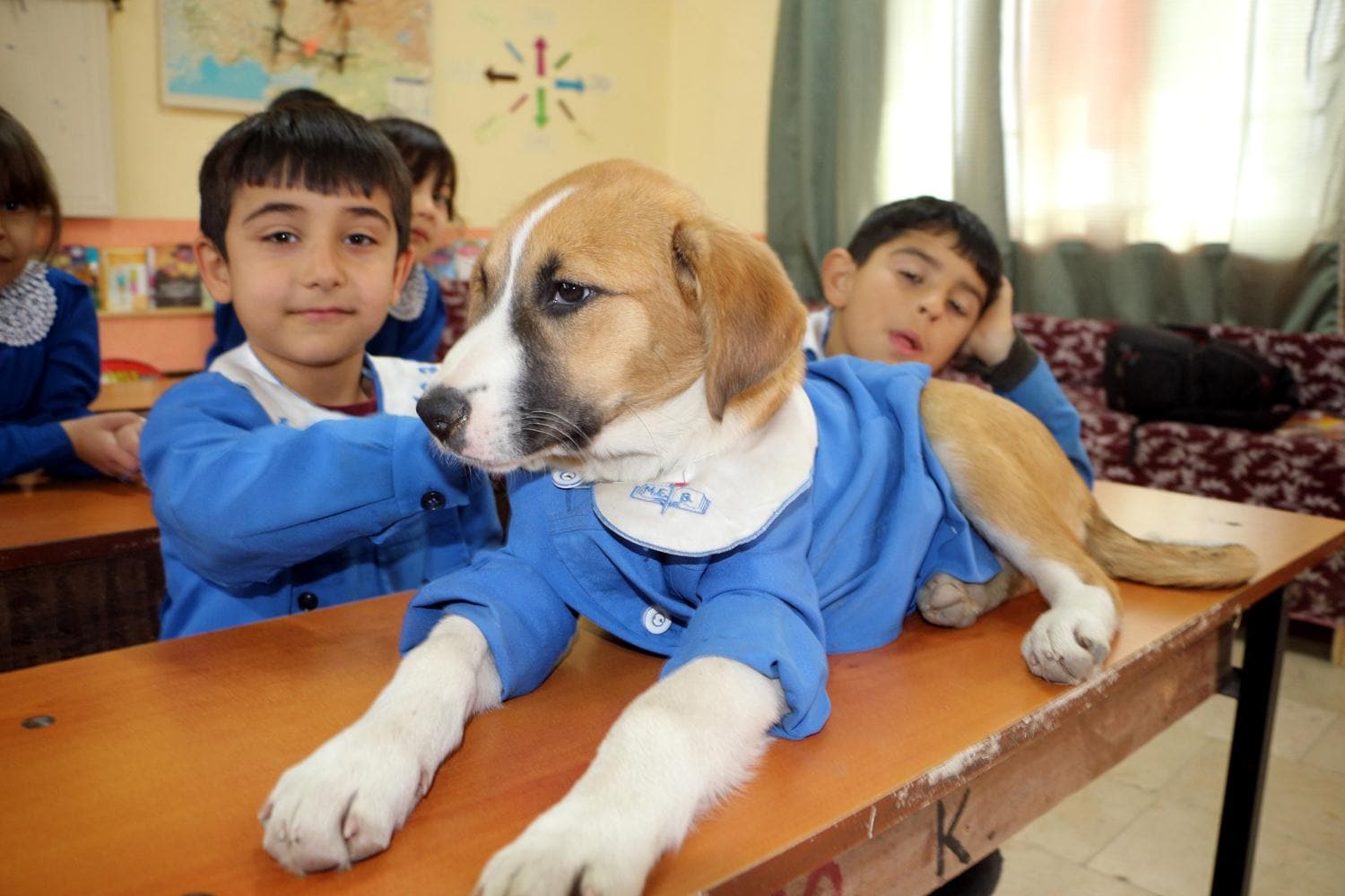 ��rencilerin maskotu F�nd�k'tan k�t� haber