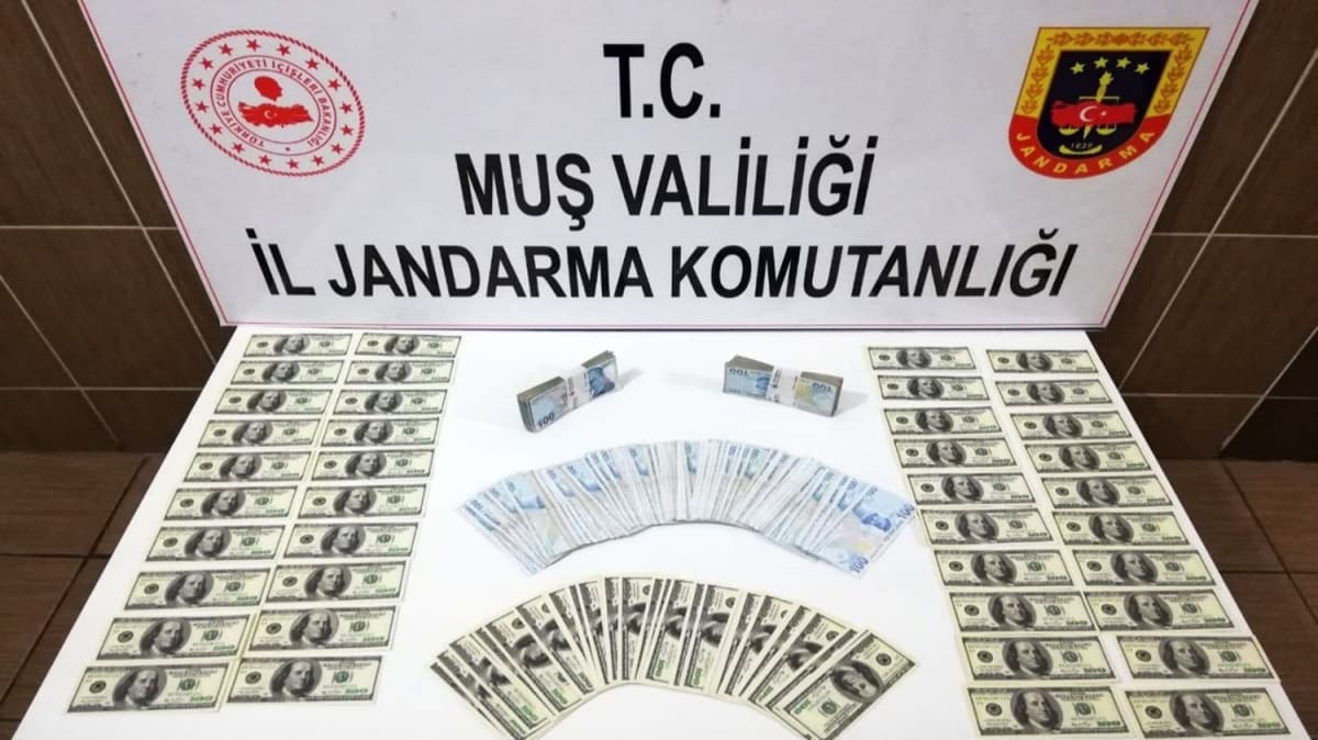 Sahte dolar operasyonu