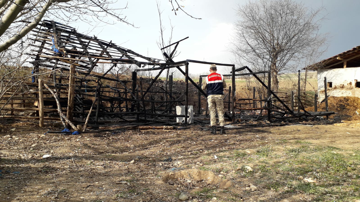 Yang�nda 6 hayvan telef oldu