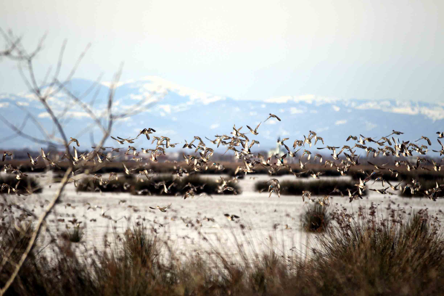 'Kesin korunacak hassas alan' ilan edilecek!