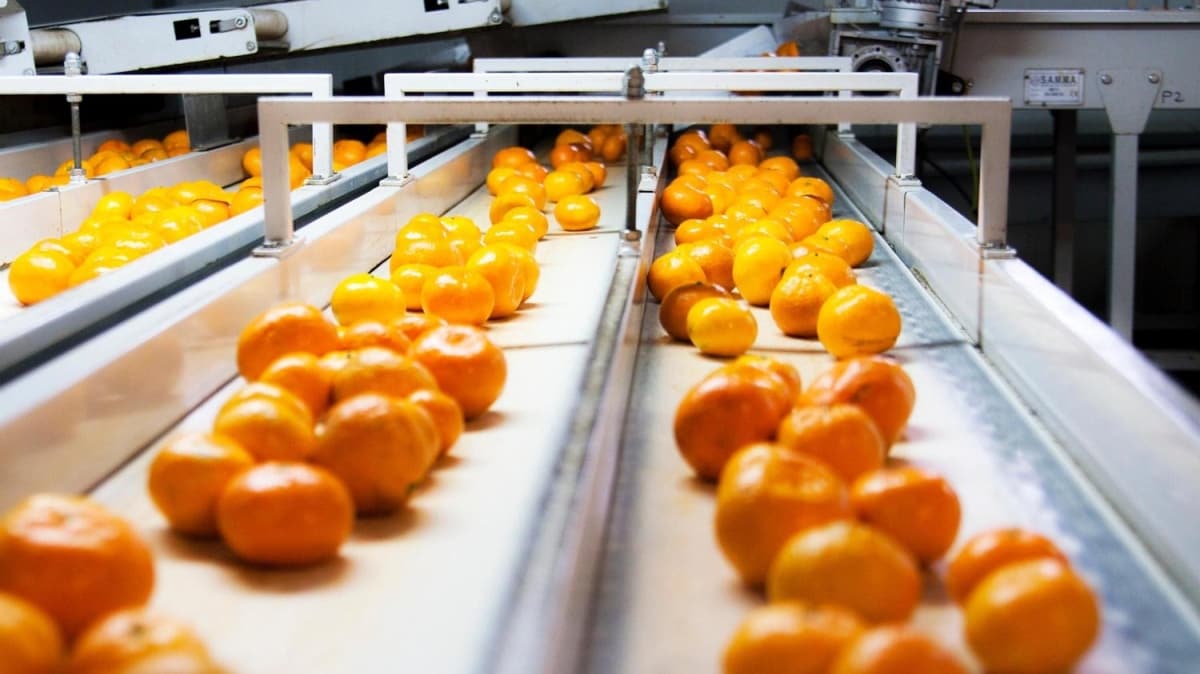 Koronavirse kar beslenme reetesi