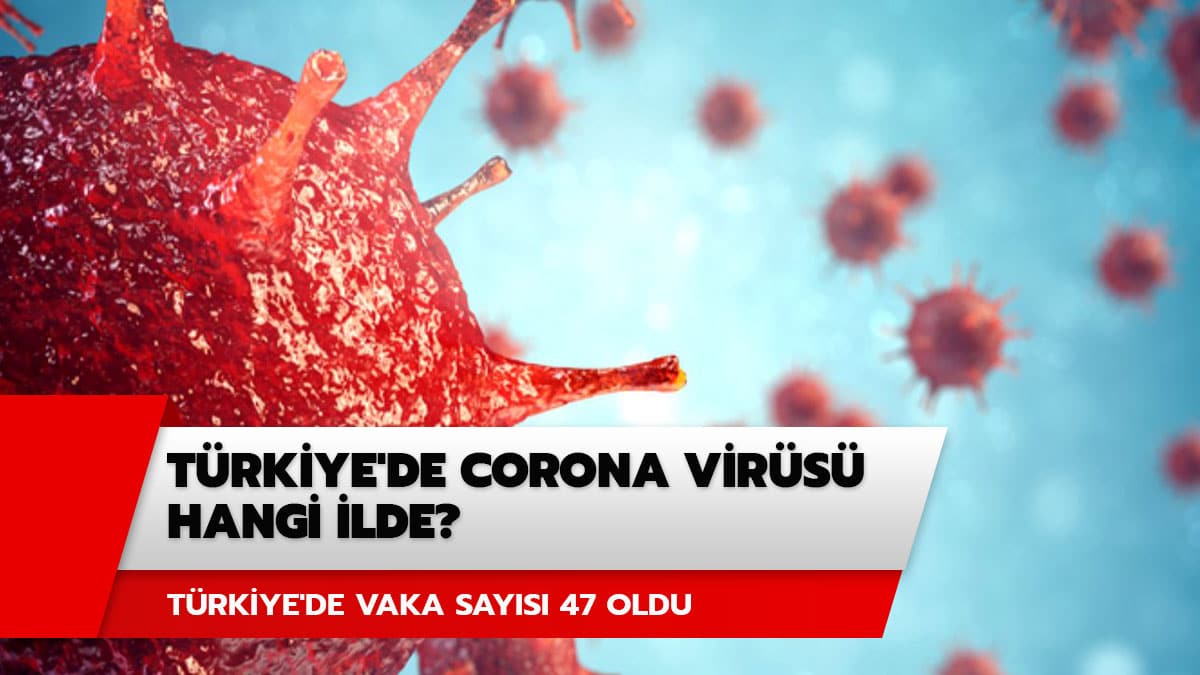 T�rkiye'de corona vir�s� vaka say�s�