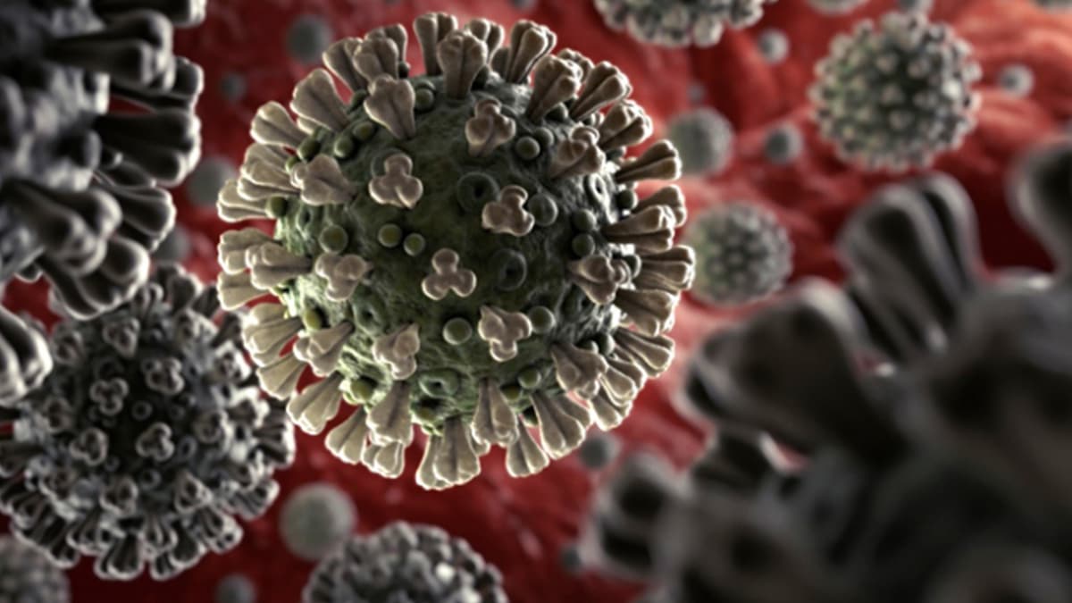 Y�zeylerde 3 g�ne kadar canl� kalabiliyor