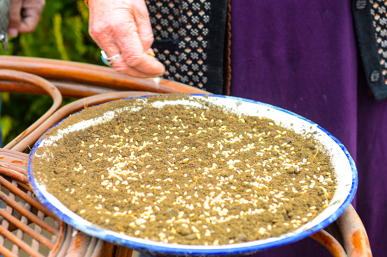 Anadolu'nun as�rl�k gelene�i: 'Semeni'