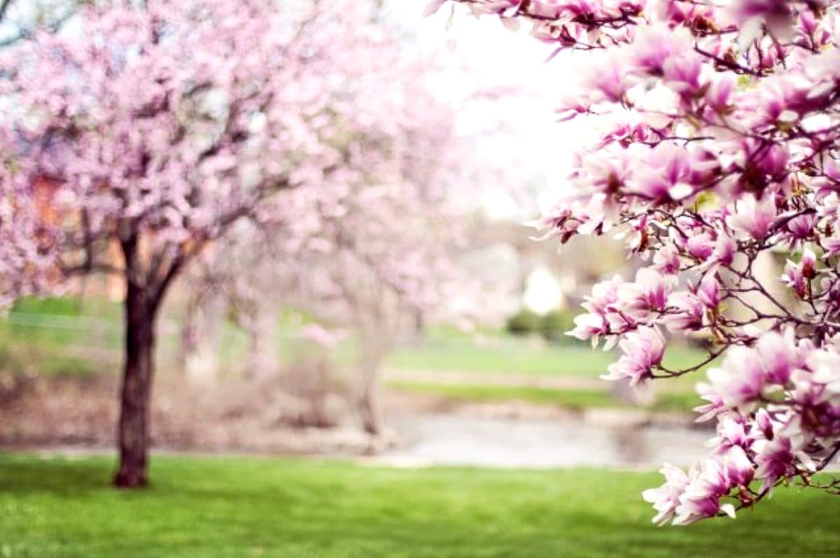 Nevruz Bayram� kutlama mesajlar�