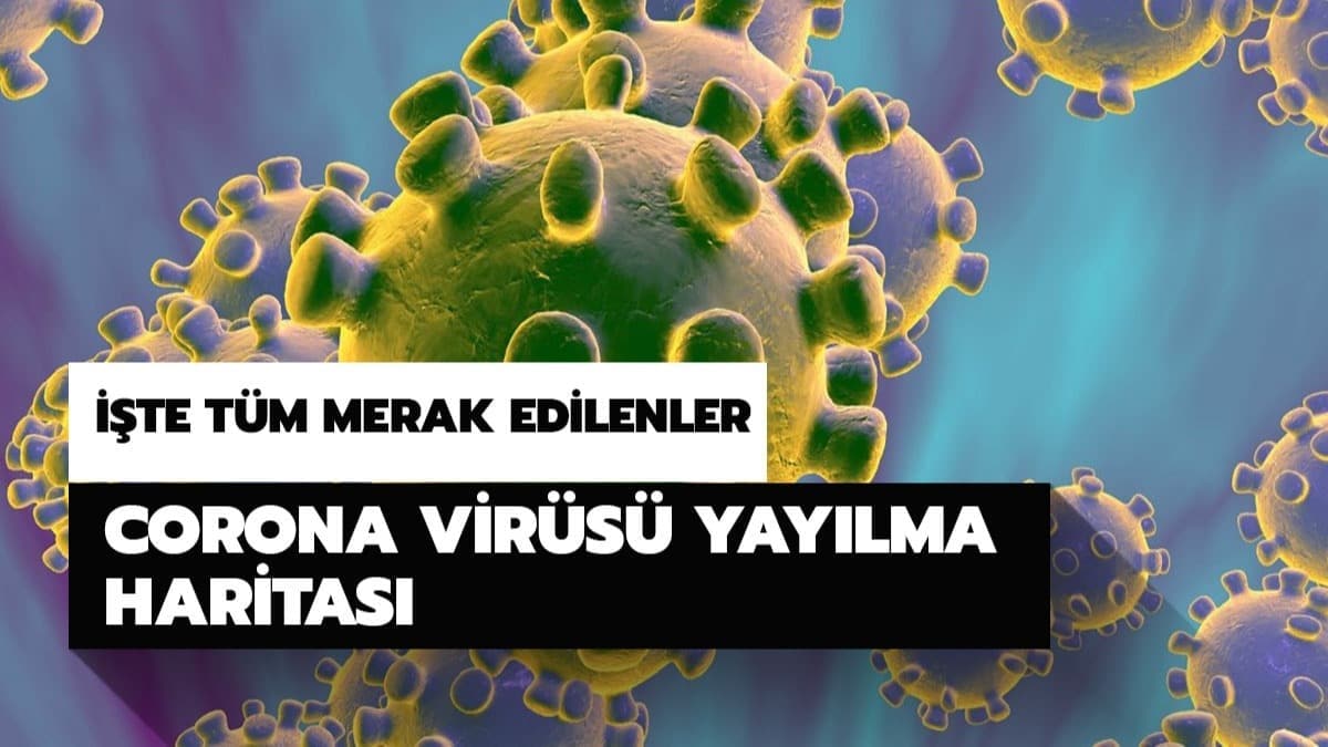 Corona vir�s� T�rkiye'de hangi ilde var? Corona vir�s� yay�lma haritas� son durum haritas�!