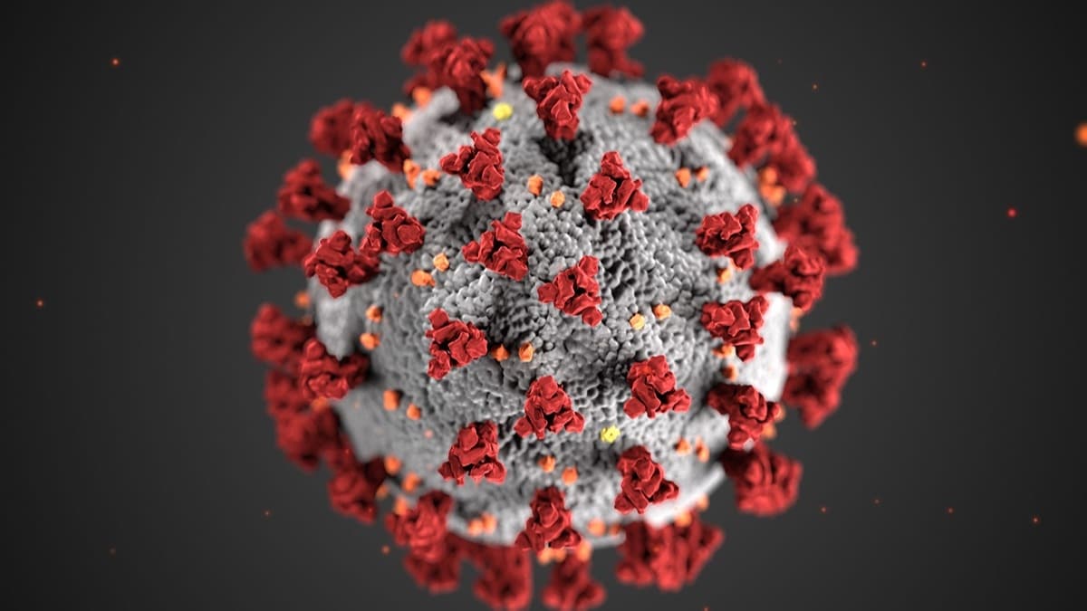 Koronavirs, iki farkl virsn birlemesinden ortaya km olabilir