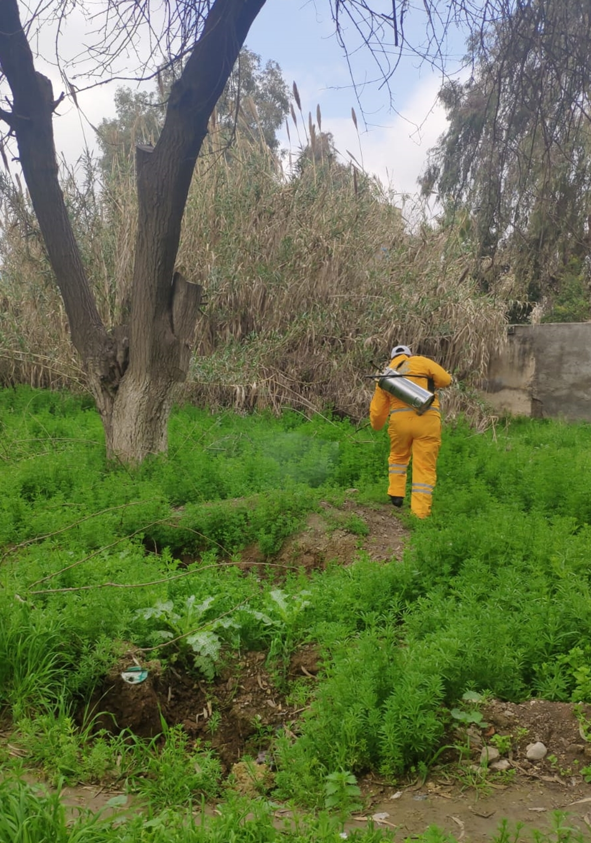 Tel Abyad ve Rasulayn il�elerinde Kovid-19 �nlemleri