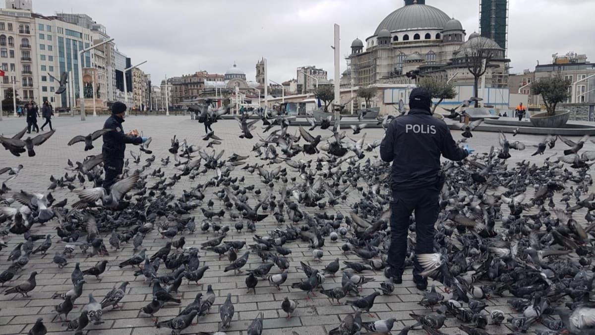 Taksim'de a kalan gvercinleri polisler besledi 