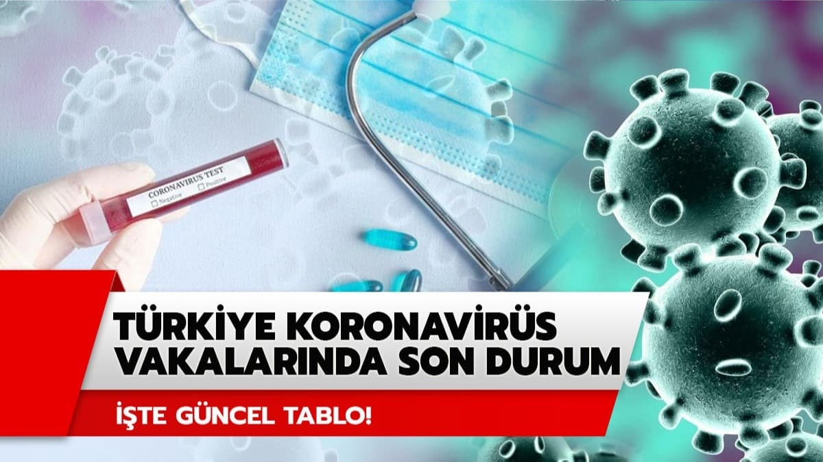 Trkiye geneli koronavirs haritasnda son durum ne? Koronavirs vakalarnda son gncel tablo