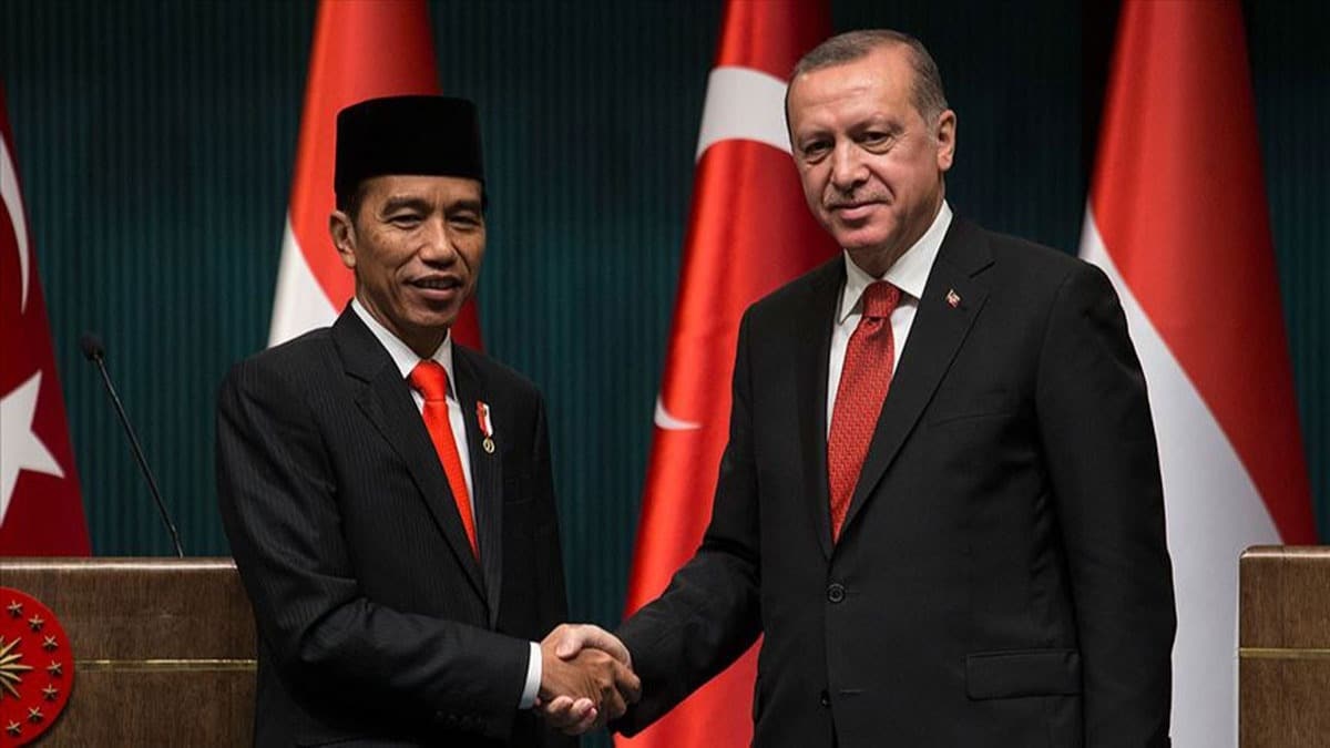 Bakan Erdoan, Endonezya Cumhurbakan Widodo ile grt