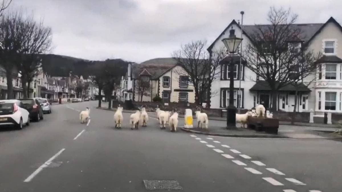 Bo� kalan sokaklar� ke�iler bast�