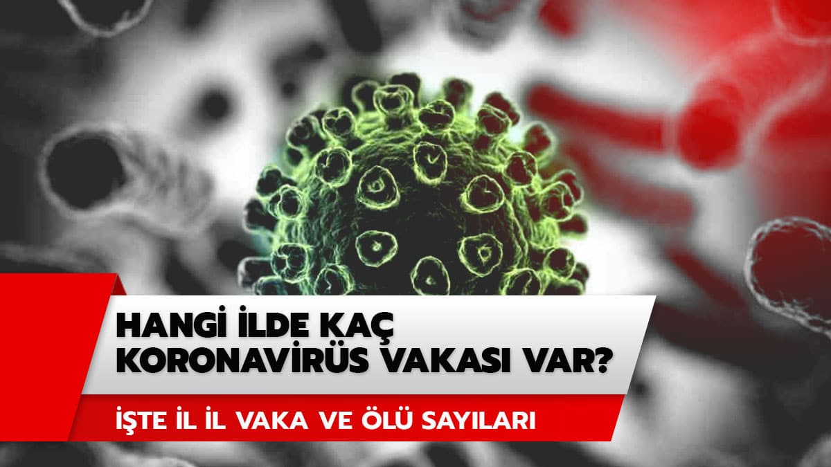 Hangi �ehirde ka� koronavir�s vakas� var? ��te �l il koronavir�s vaka ve �l� say�lar�