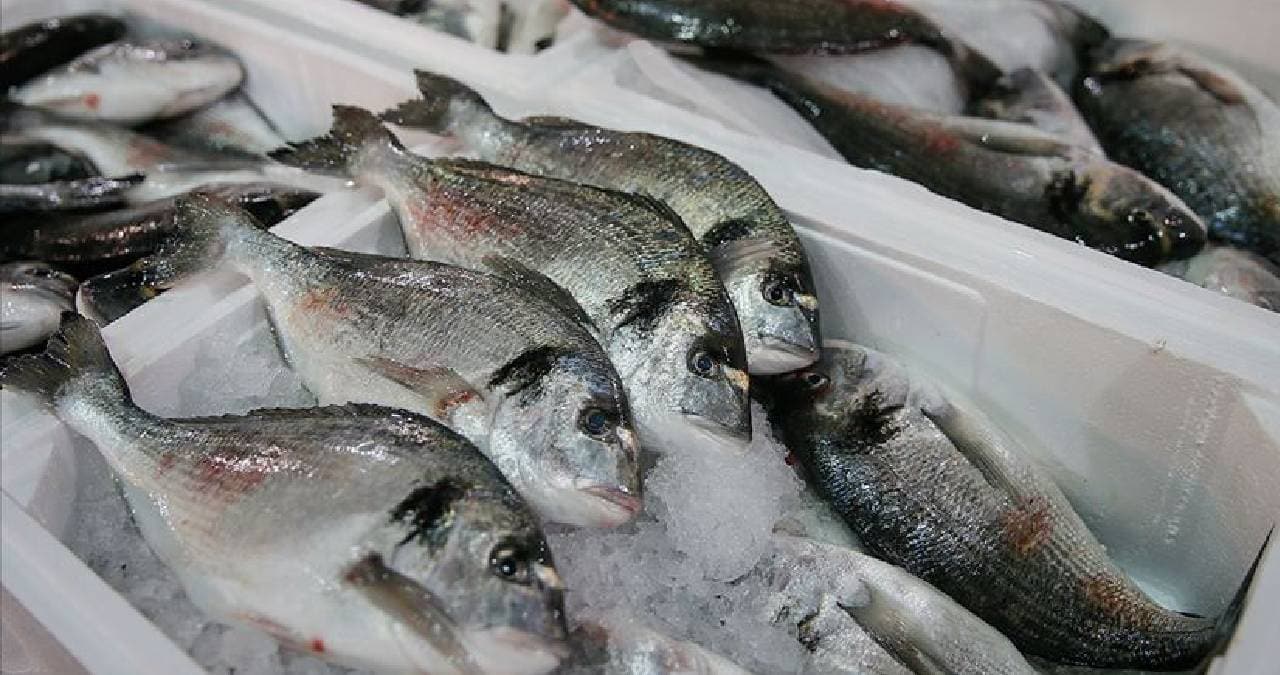 Kovid-19'a kar�� sa�l�kl� beslenmek i�in bal�k t�ketim kampanyas�!