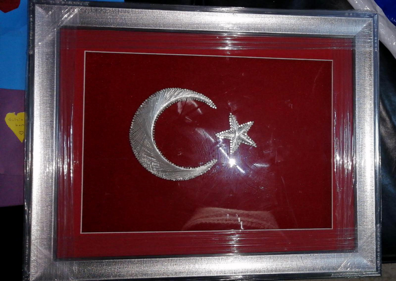 Sosyal yard�m �demesi yap�lan kad�n te�ekk�r etmek i�in Ba�kan Erdo�an'a T�rk Bayra�� arma�an etti