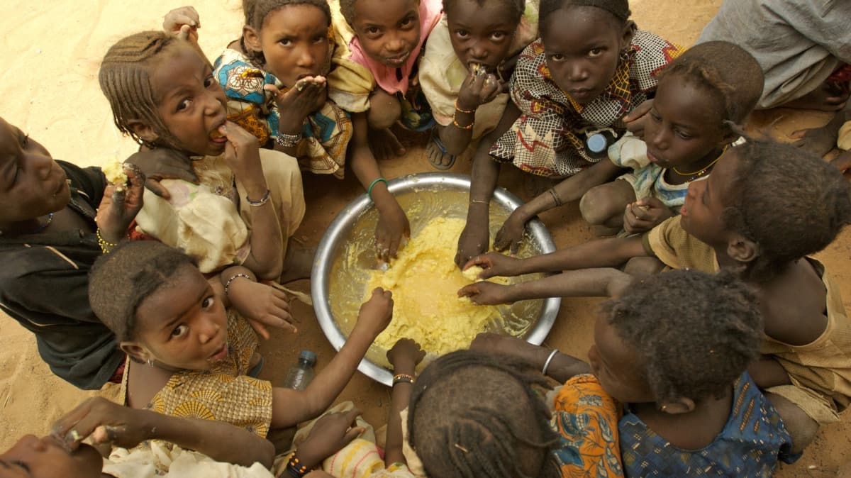 BM: Mali'de 5 milyon kii gda sknts yaayacak 