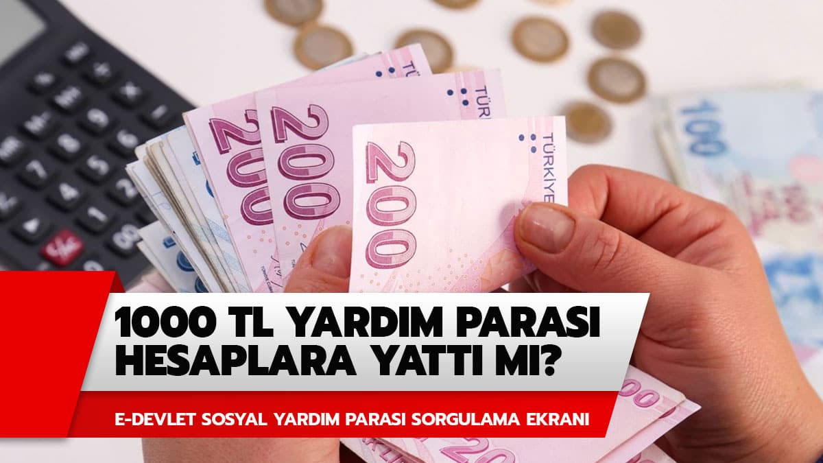 1000 TL sosyal yard�m paras� �demeleri yap�ld� m�? 1000 TL sosyal yard�m E-Devlet sorgulama ekran�