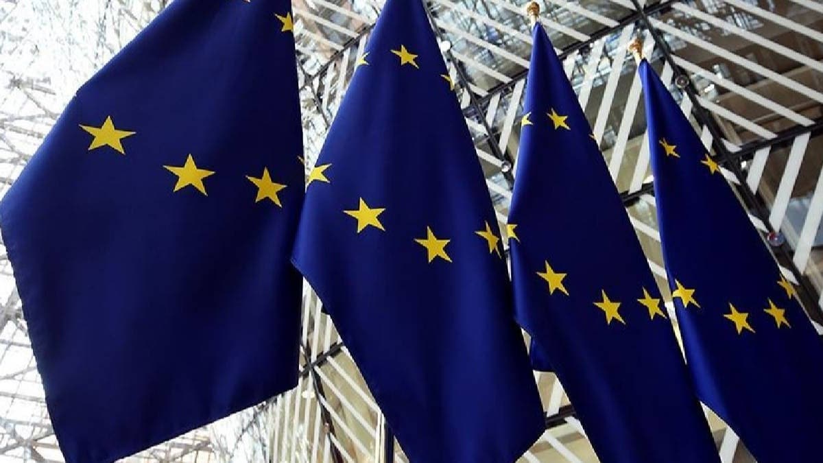 AB'yi 'hayal krkl' olarak nitelendiren Avrupa Aratrma Merkezi Bakan istifa etti