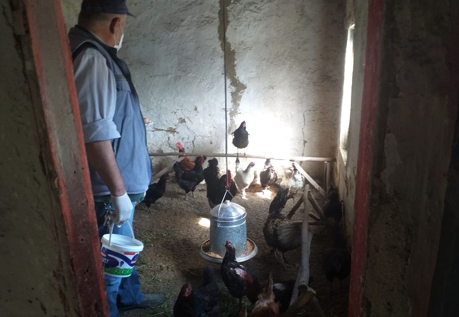68 ya��ndaki Ali amca soka�a ��kamay�nca hayvanlar�n�n yemlenmesi i�in C�MER'den yard�m istedi
