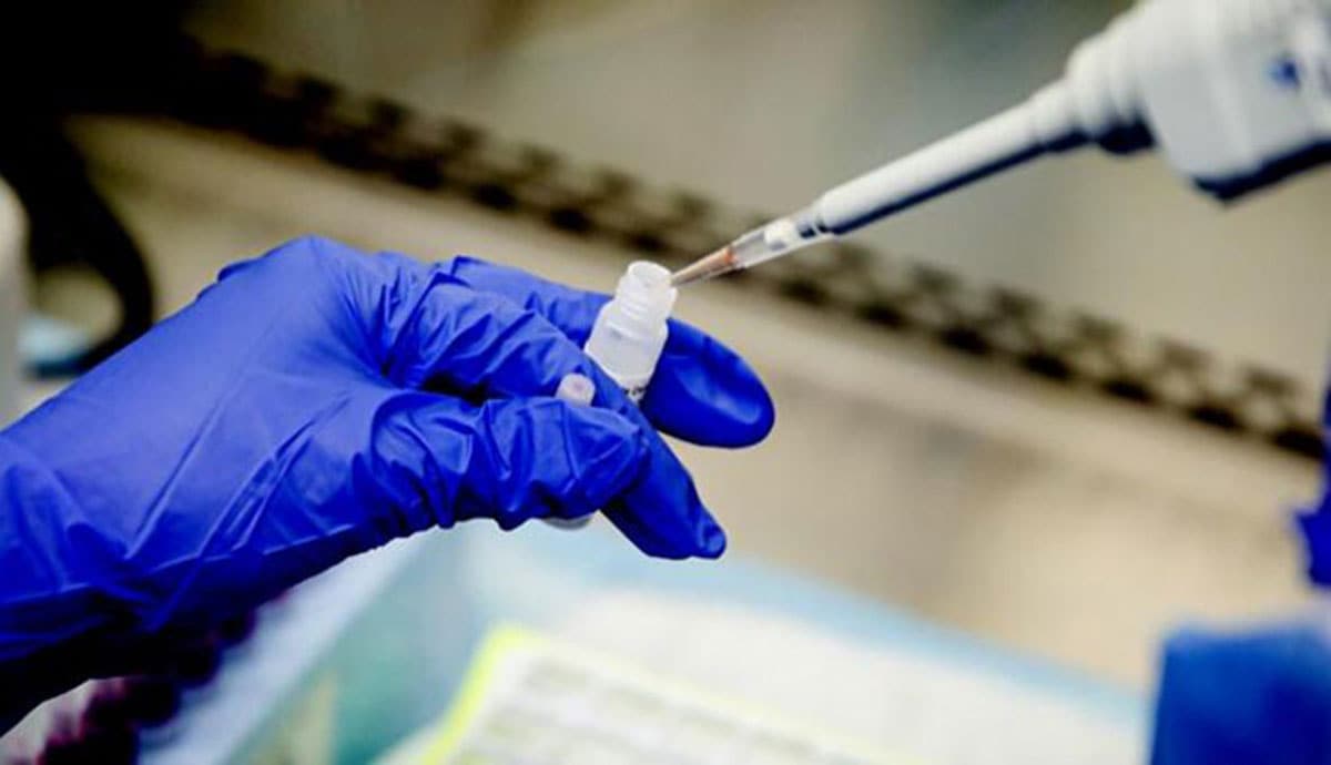 G�zel haber! Koronavir�s a��s� denemelerinde ikinci a�amaya ge�ildi