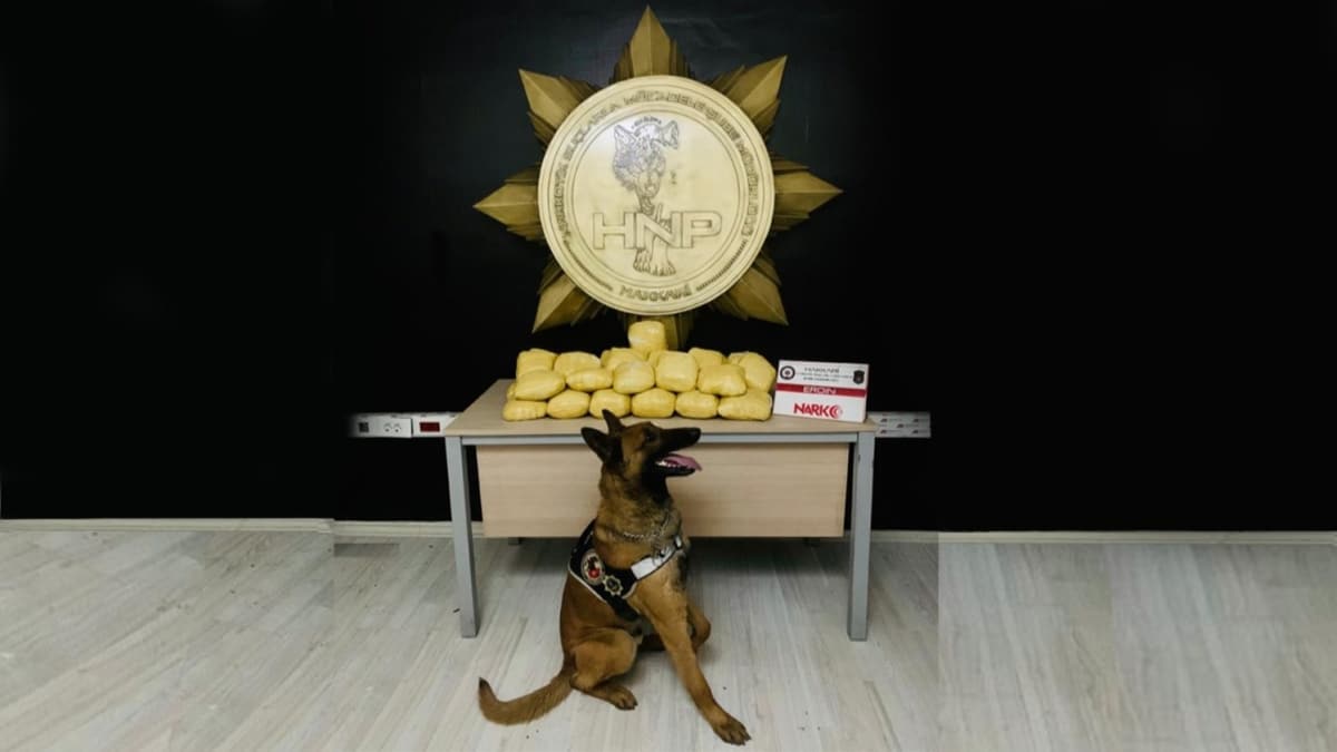 Polis ekiplerince yaplan basknda 54 kilo 200 gram uyuturucu yakalad 