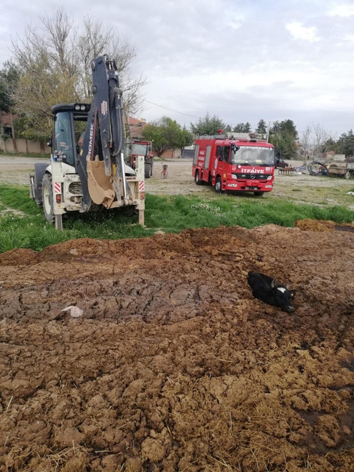 Hayvan pisli�ine saplanan ine�i itfaiye kurtard�