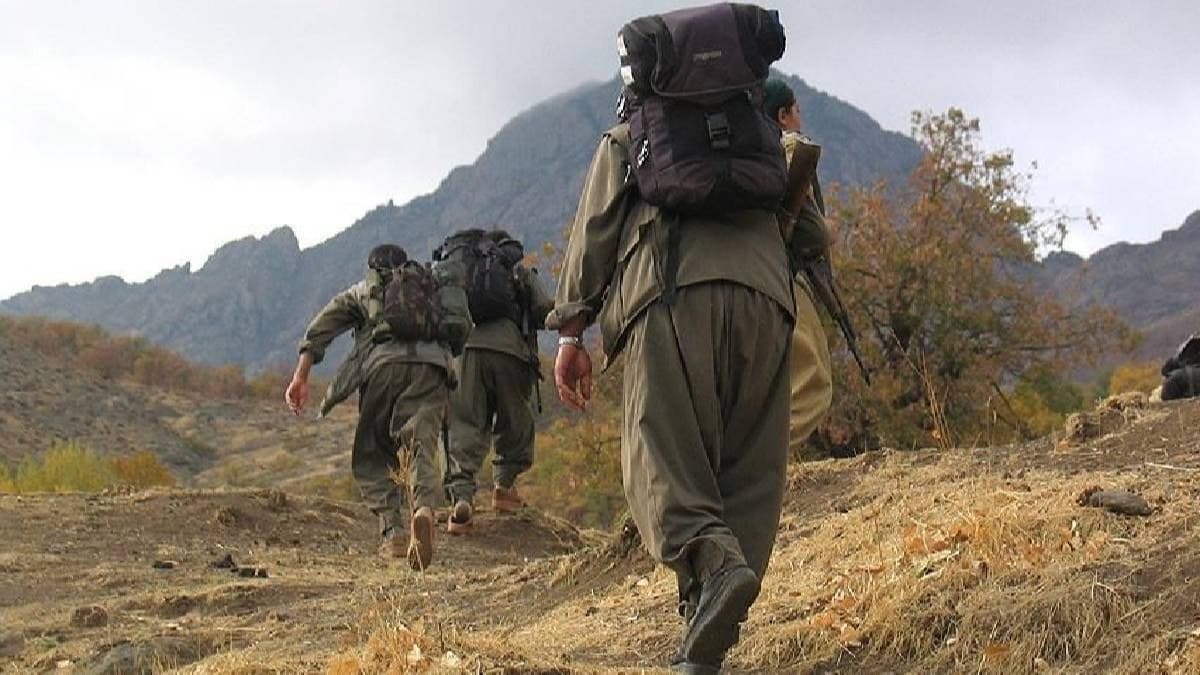 PKK'l terrist ikna yoluyla teslim oldu