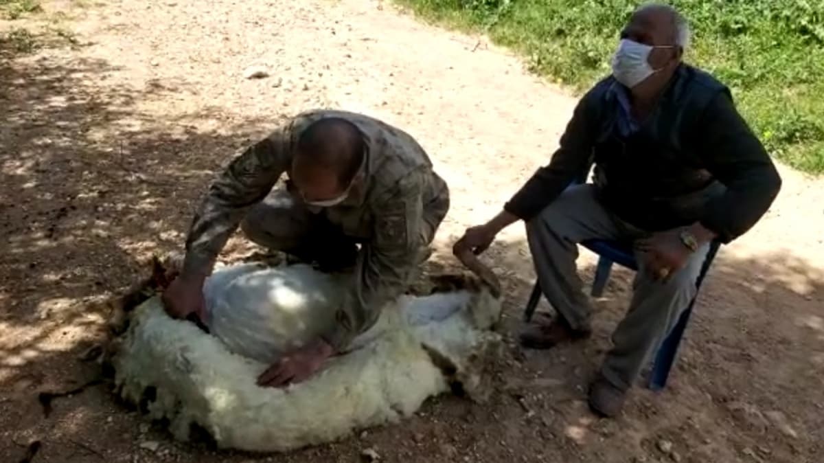 Yal besicinin yardmna jandarma yetiti 