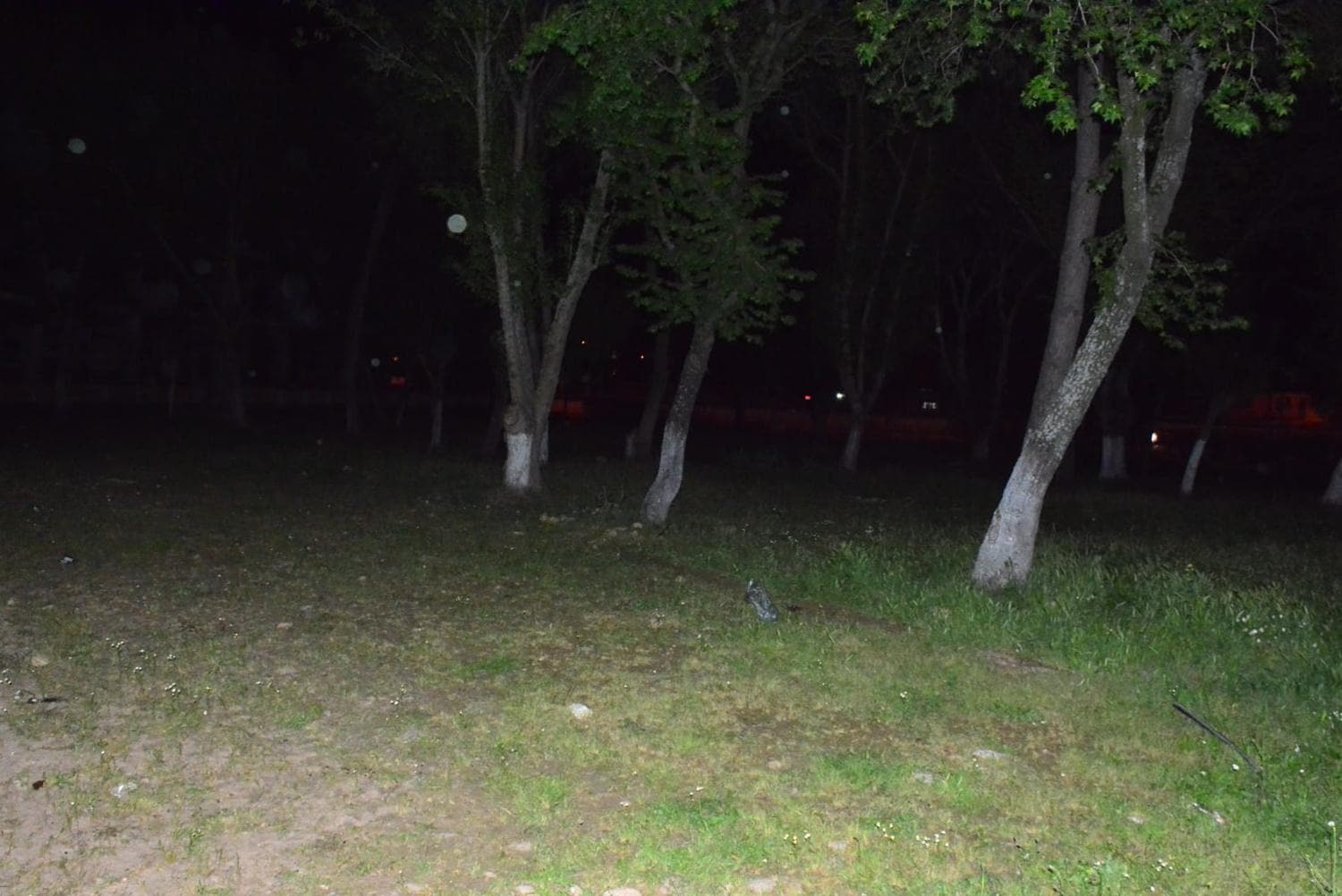 Cezaevinden ��kt�, tart��t��� ki�iyi ba��n� ta�la vurarak �ld�rd�