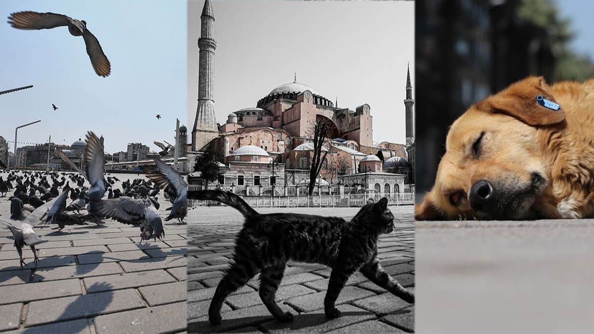 Soka�a ��kma yasa��nda meydanlar onlara kald�!