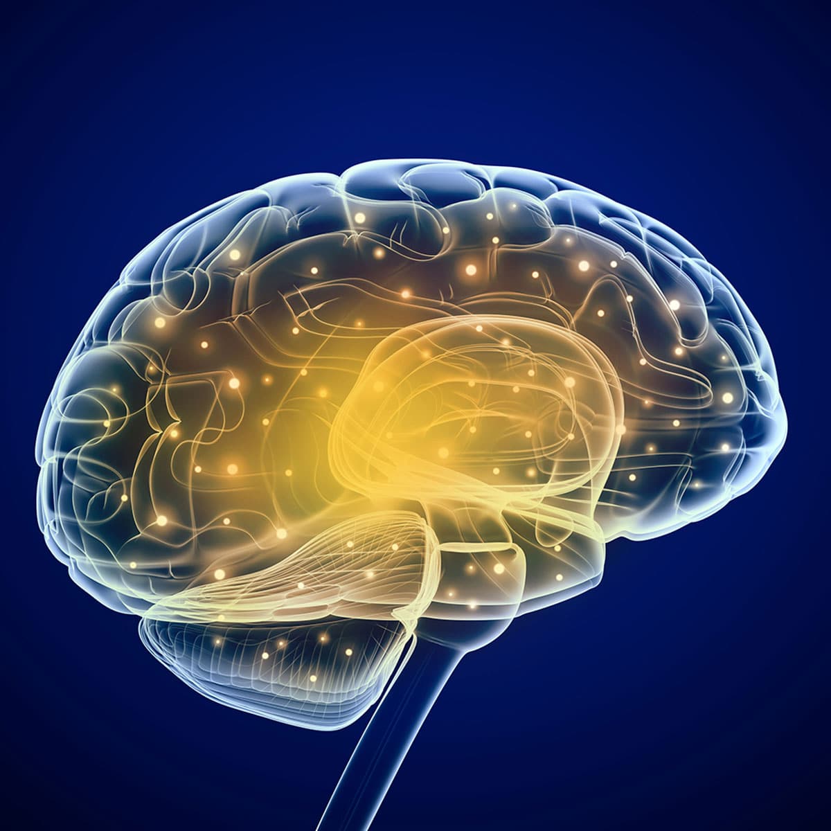 Beyinde a��r� alkol t�ketimini kontrol eden b�lge bulundu