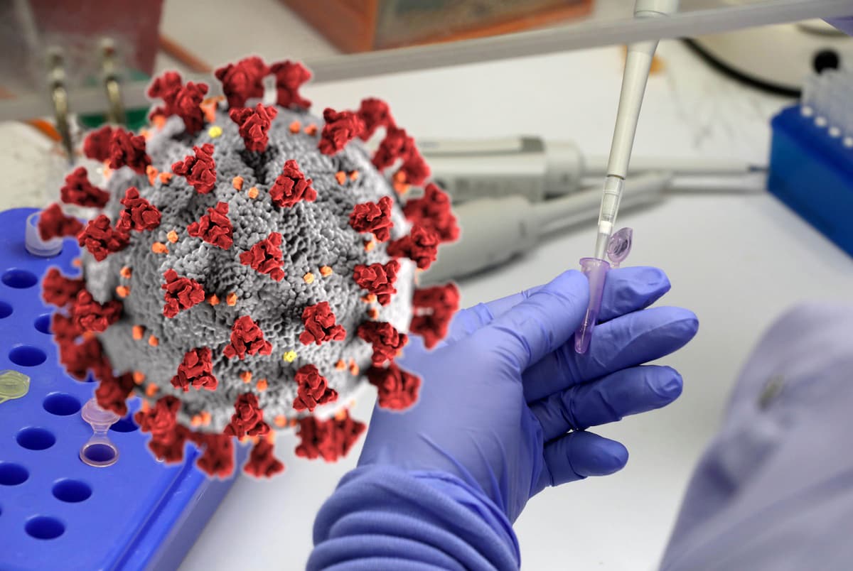 Bug�n tan�tacaklar!