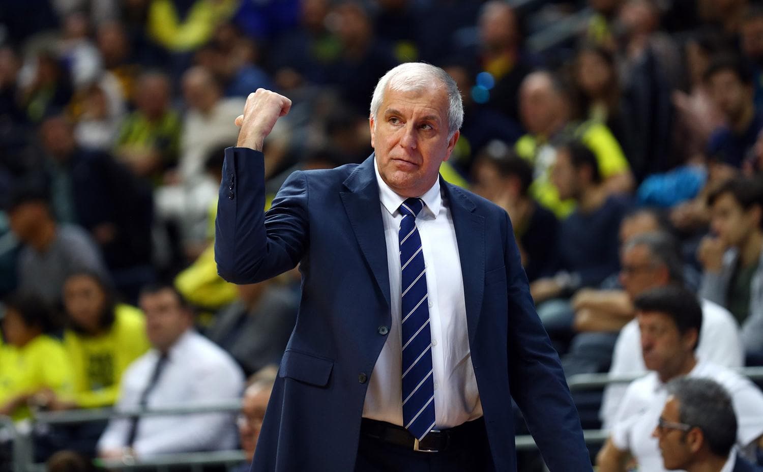 Obradovic Fenerbah�e'den ayr�l�yor mu? 'Hen�z teklif almad�m'