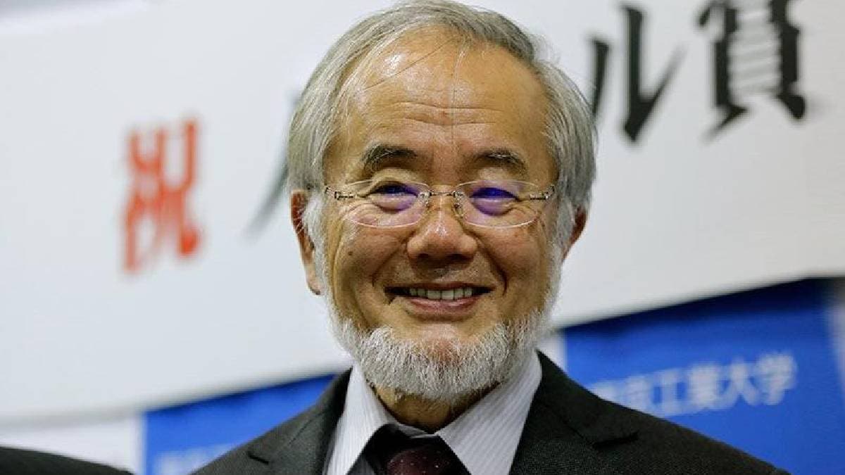 Japon bilim insan�na Nobel �d�l� getiren �al��ma yeniden g�ndemde