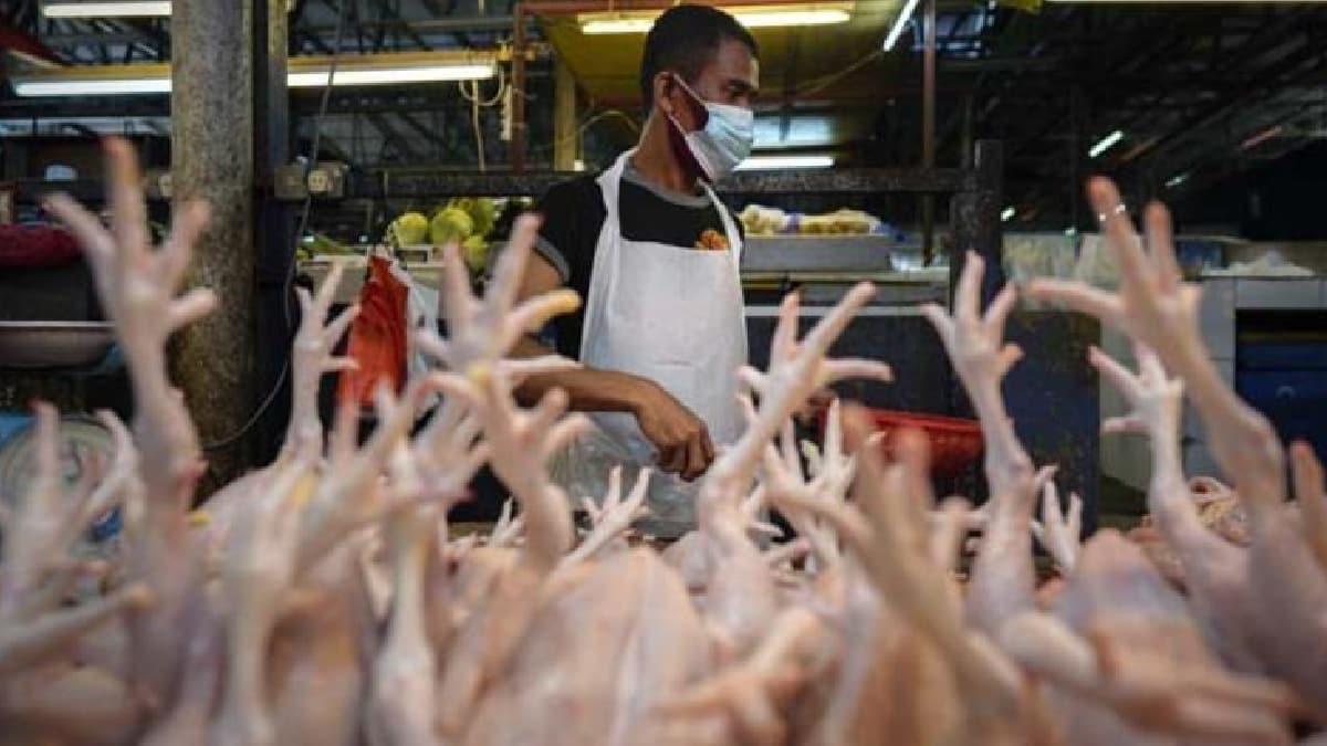 'Bu do�an�n intikam� de�il, kendi kendimize yapt�k'