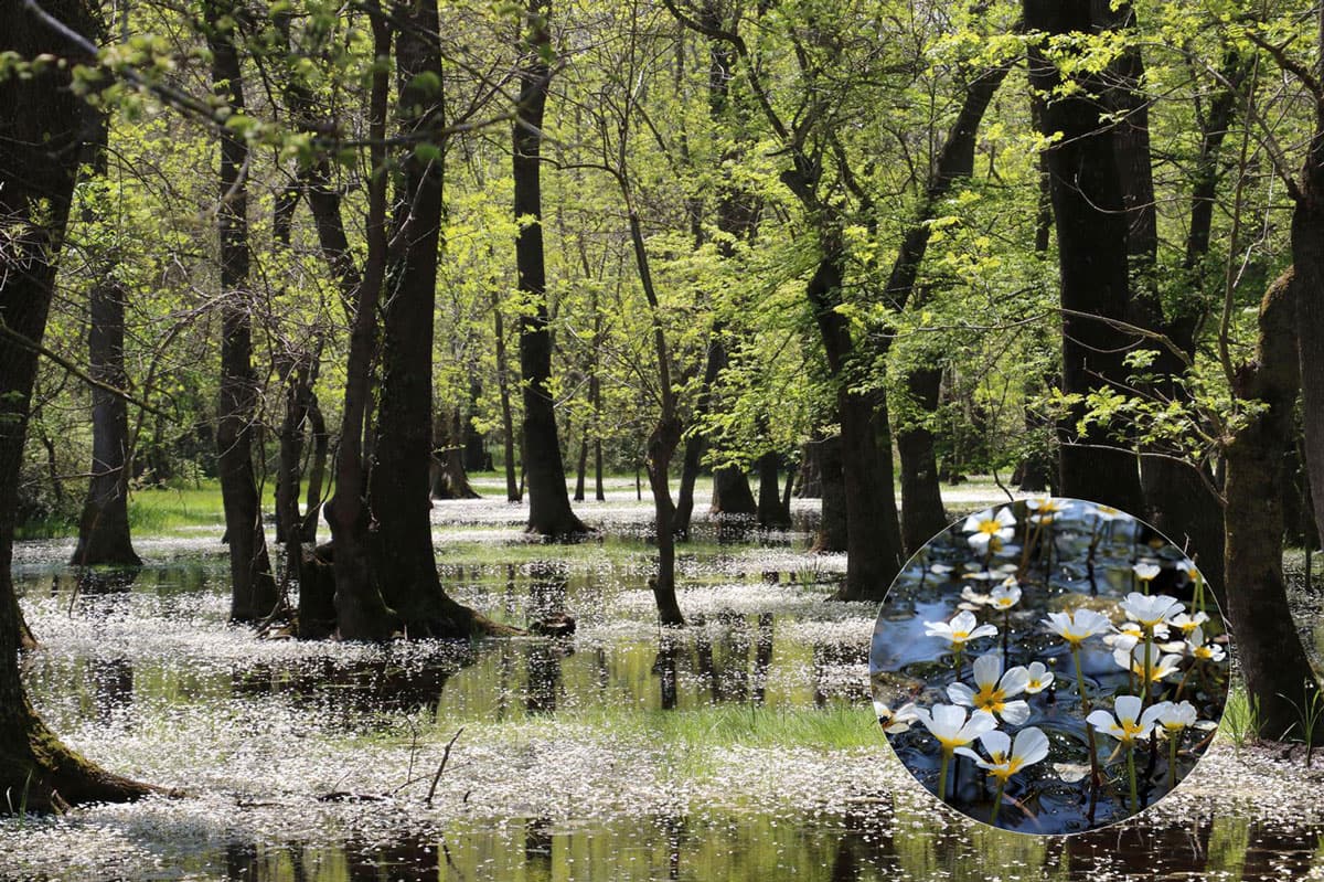 Galeri� g�zelli�iyle hayran b�rak�yor