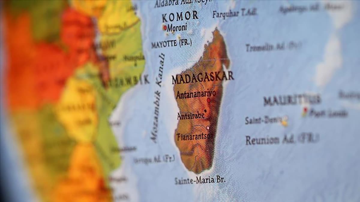 Madagaskar'da 66 milyon y�l �ncesine ait fosil ke�fedildi