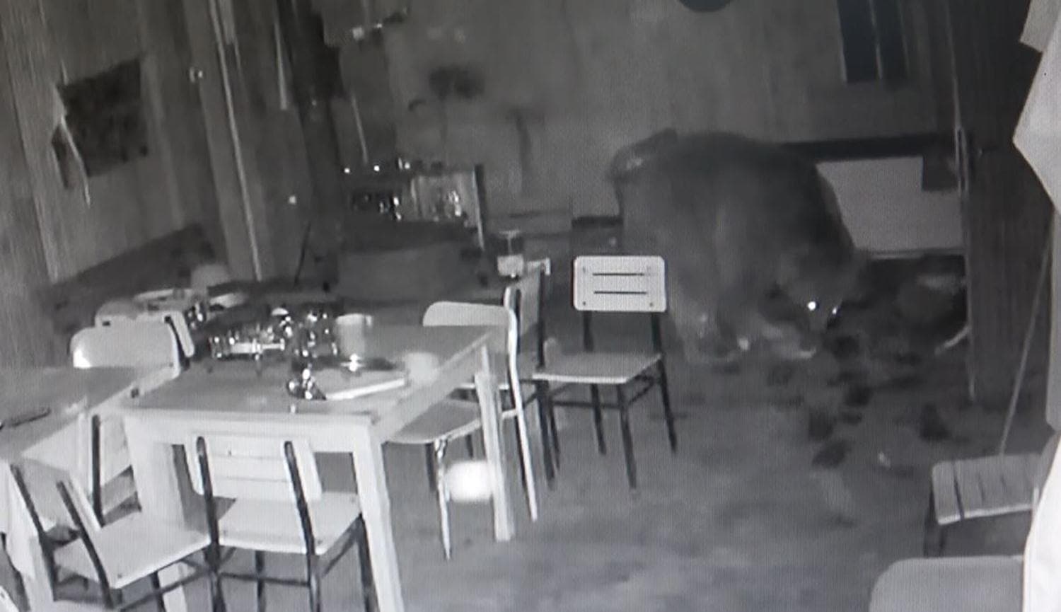 A� kald�, kap�y� k�r�p alabal�k tesisine dald�