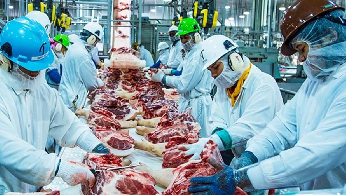 ABD alarma geti: Domuz eti reten fabrikada 370'ten fazla iide koronavirs kt