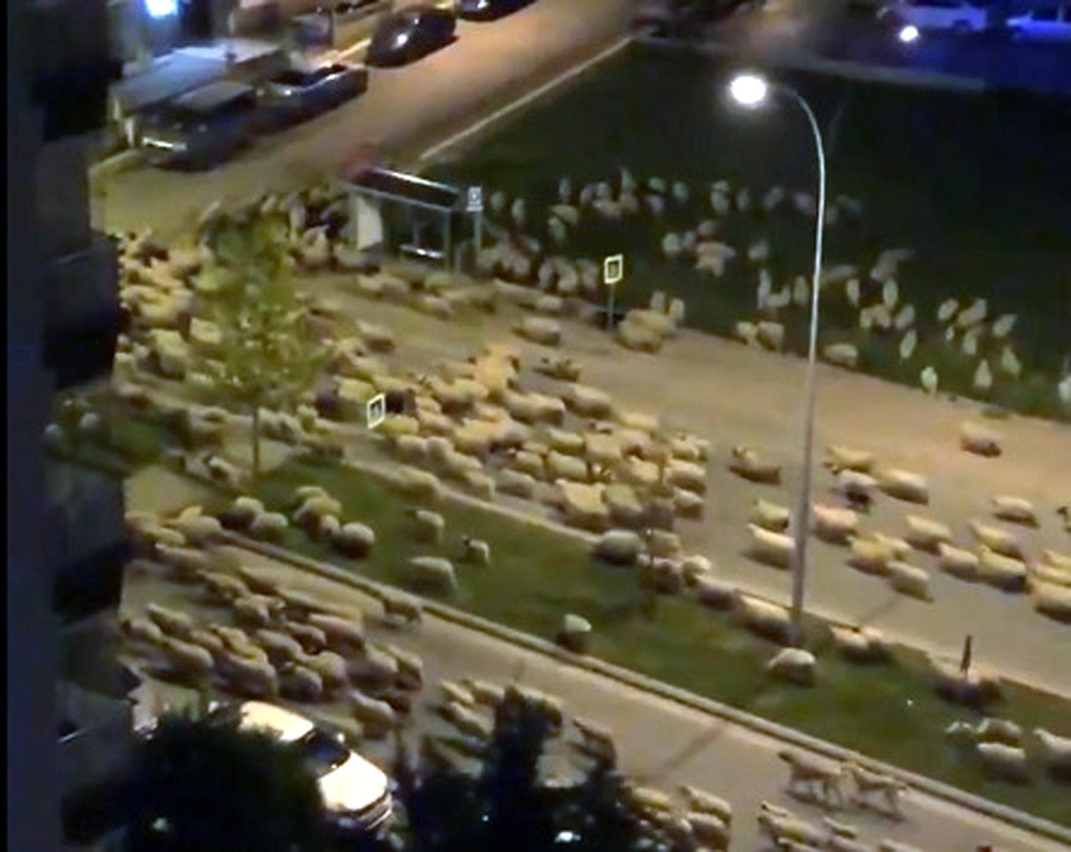 Samsun'da artan grnt! Caddeyi kapattlar