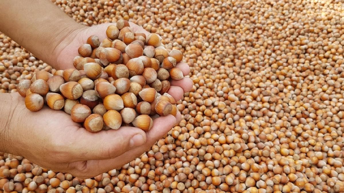 8 ayda �lke ekonomisine 1 milyar 844 milyon dolarl�k katk�