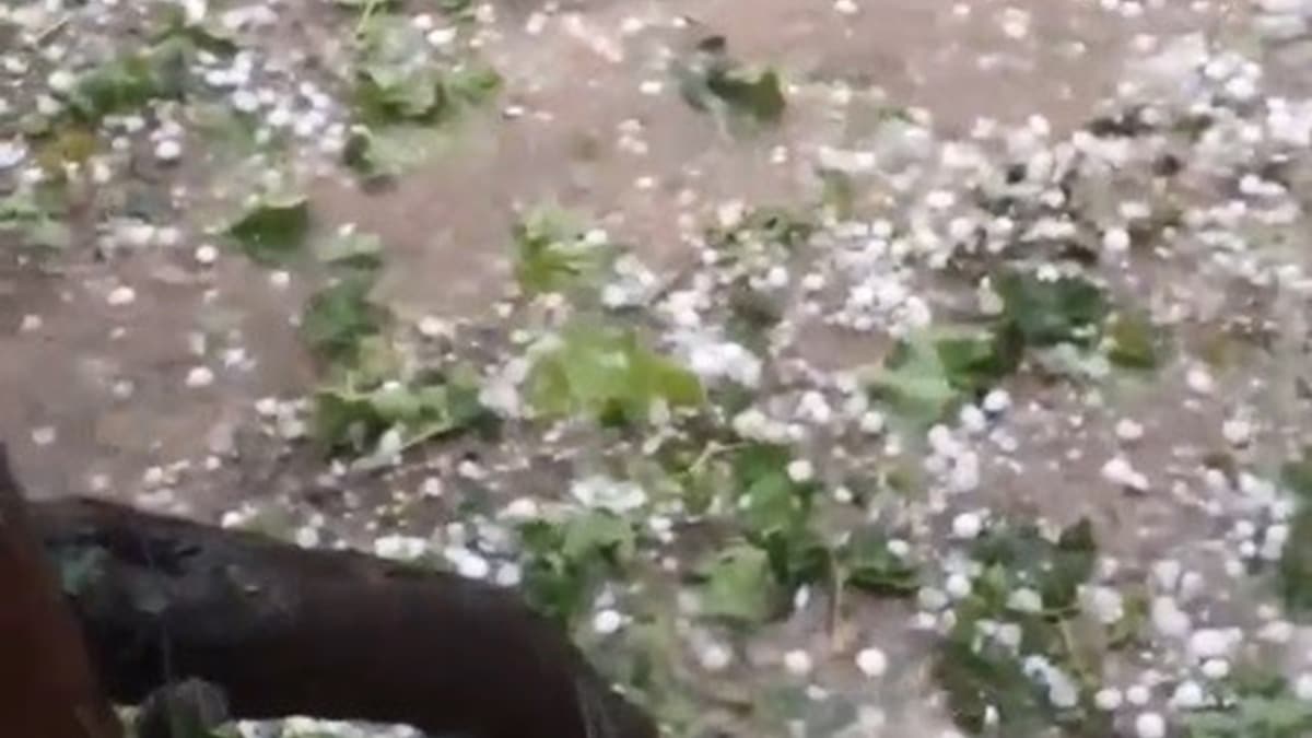 Antalya'ya ceviz byklnde dolu yad 