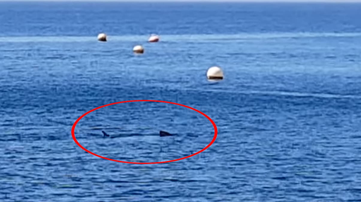 Turistlerden bo�alan sahile 4 metrelik ziyaret�i