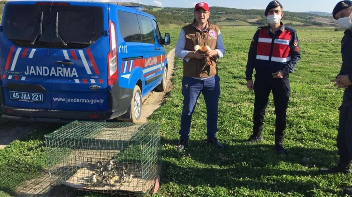 Kedi saldrsndan kurtarlan Angut kular doaya salnd 