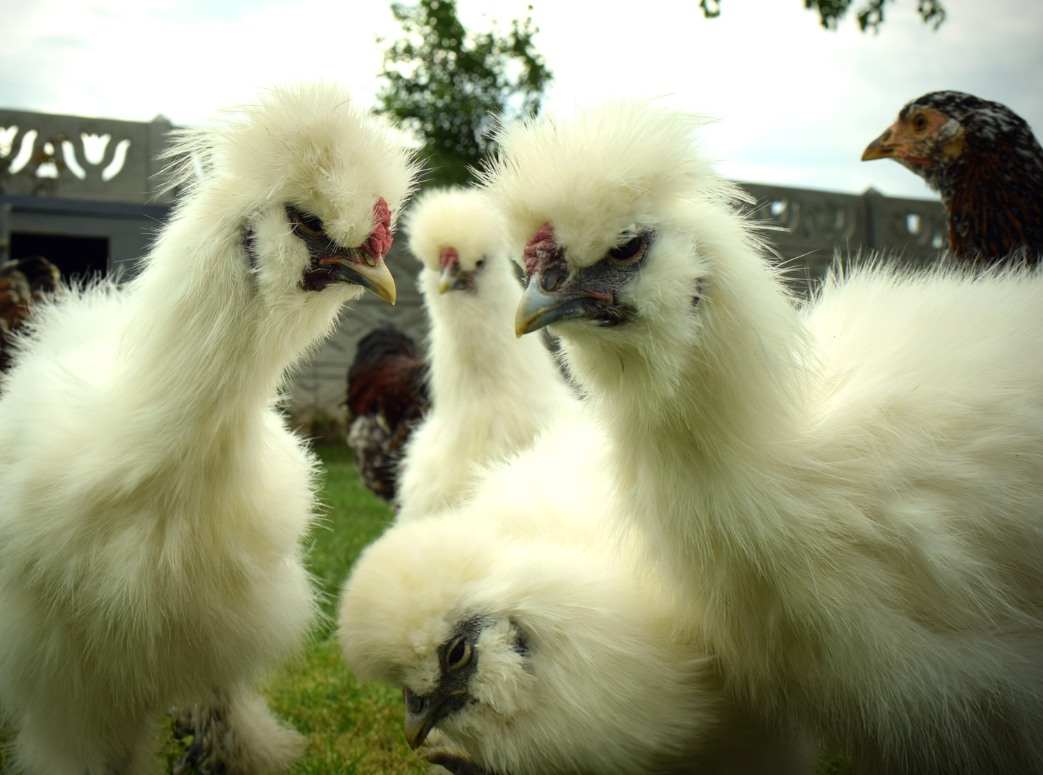 Hobisini kazanca d�n��t�rd�: Yurt d���ndan da talep var